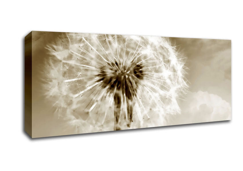 Picture of Chocolate Fairy Flower Panoramic Canvas Wall Art
