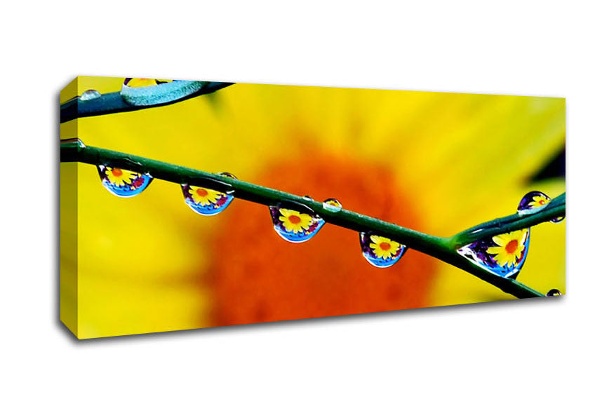 Picture of Dewdrop Reflections Panoramic Canvas Wall Art