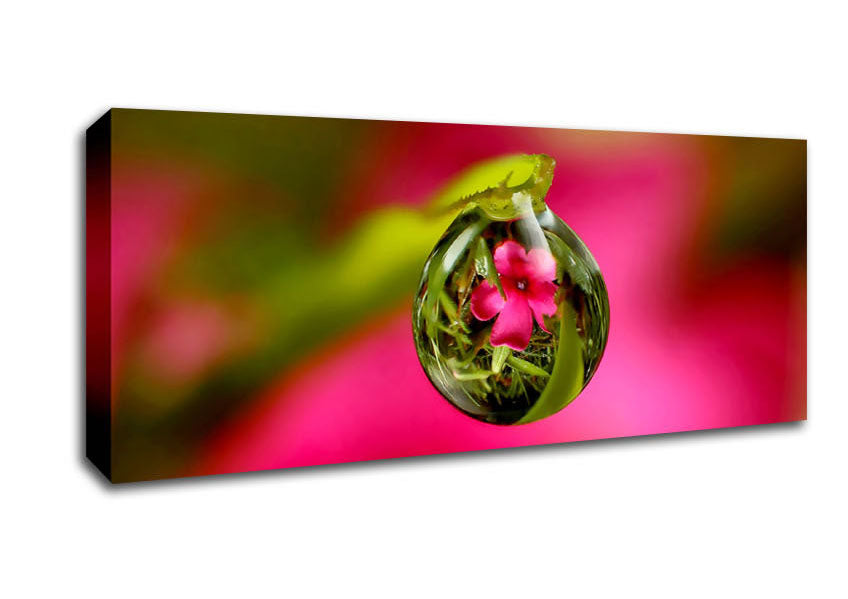 Picture of Reflection Of A Pink Flower Panoramic Canvas Wall Art
