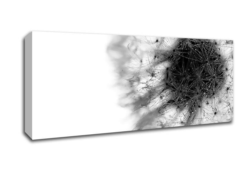 Picture of Dewdrop Heaven Panoramic Canvas Wall Art