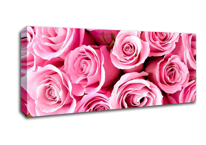 Picture of Special Pink Roses Panoramic Canvas Wall Art