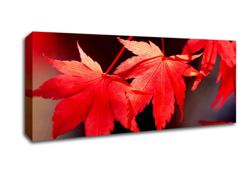 Picture of Winter Red Leaves Panoramic Canvas Wall Art