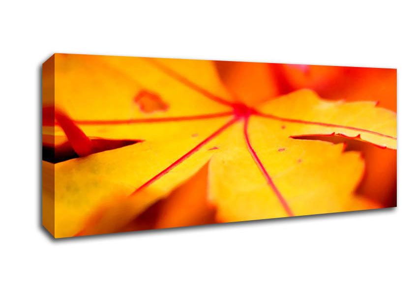 Picture of Orange Winter Leaf Panoramic Canvas Wall Art