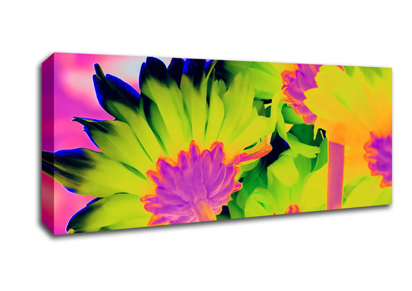 Picture of Psychedelic Petals Panoramic Canvas Wall Art