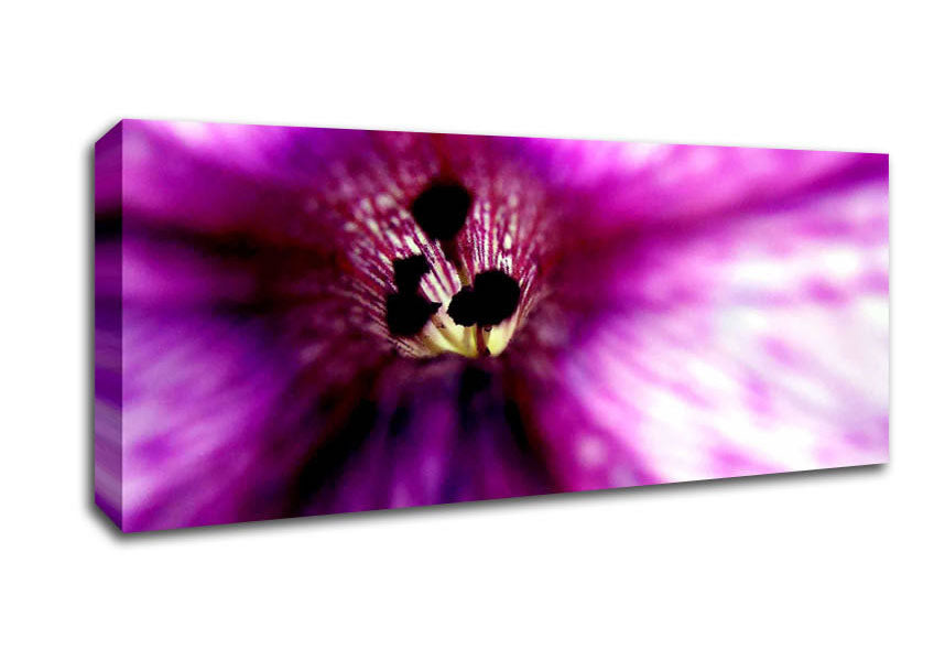 Picture of Stunning Cerise Centre Panoramic Canvas Wall Art