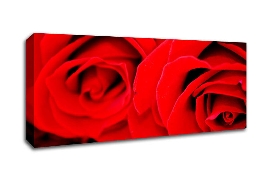Picture of Red Rose Close-Up Twins Panoramic Canvas Wall Art