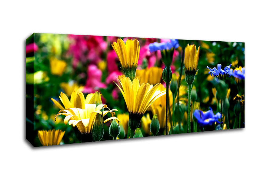 Picture of Vail Flowers In Colorado Panoramic Canvas Wall Art