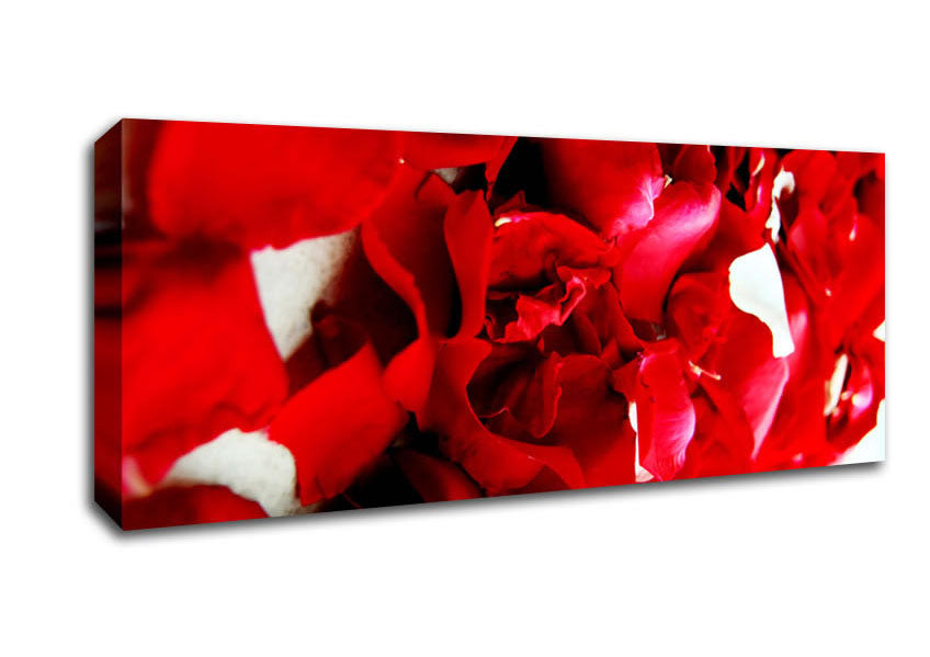 Picture of Red Galore Panoramic Canvas Wall Art