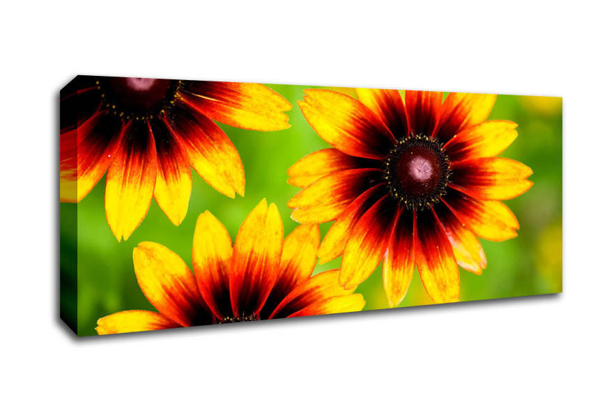 Picture of Sun Flower Garden Panoramic Canvas Wall Art