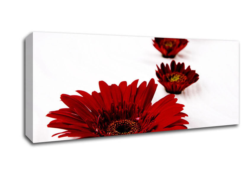 Picture of Red Gerbera Heads Panoramic Canvas Wall Art