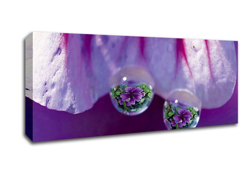 Picture of Reflections Of A Water Droplet Panoramic Canvas Wall Art