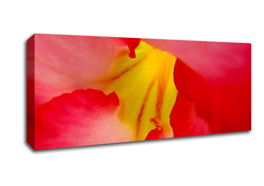 Picture of The Flowers Core Panoramic Canvas Wall Art
