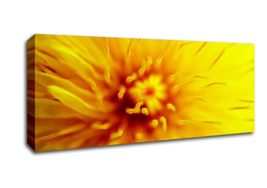 Picture of Yellow Beauty Panoramic Canvas Wall Art