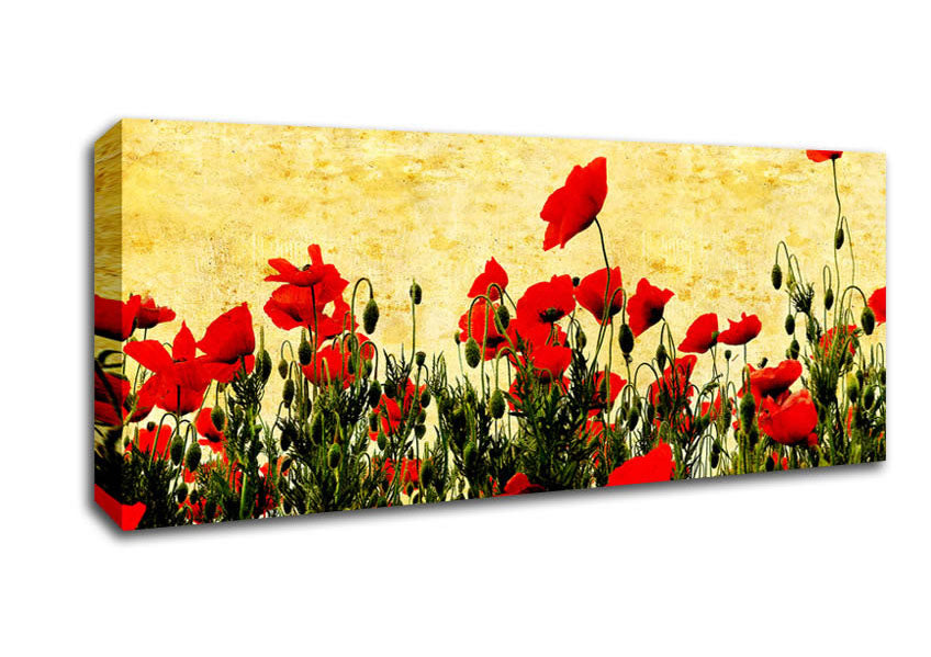 Picture of Poppy Field Golden Skys Panoramic Canvas Wall Art