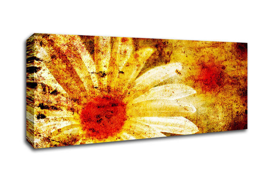 Picture of Yellow Daisy Splash Panoramic Canvas Wall Art