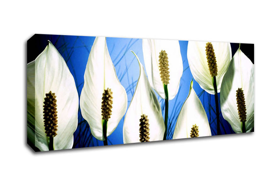Picture of White March Panoramic Canvas Wall Art