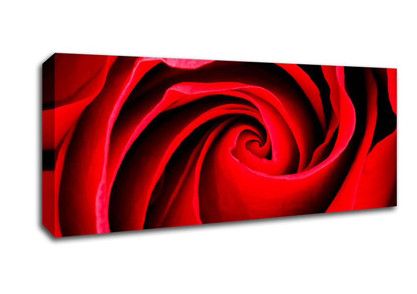 Picture of Red Rose Silk Panoramic Canvas Wall Art