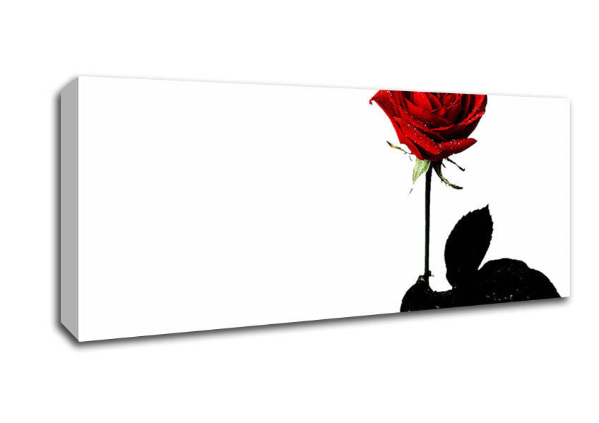 Picture of The Lovers Red Rose Panoramic Canvas Wall Art