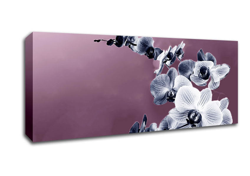 Picture of Snap Dragon Pink Panoramic Canvas Wall Art
