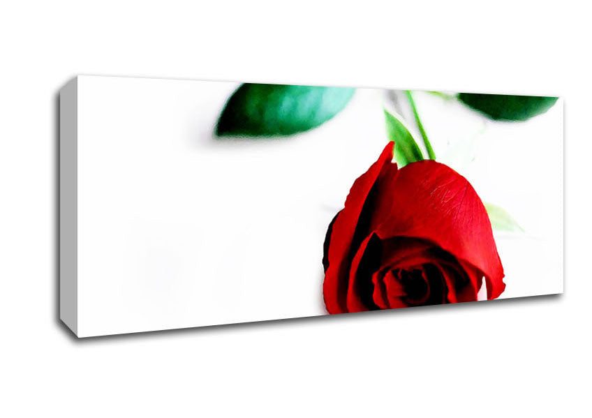 Picture of Single Red Rose For The One I Love Panoramic Canvas Wall Art