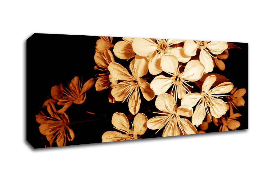 Picture of Cocoa Flowers Panoramic Canvas Wall Art
