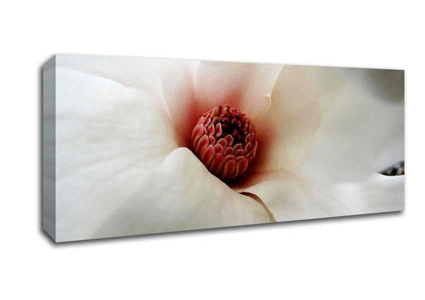 Picture of Soft Pink Centre Panoramic Canvas Wall Art
