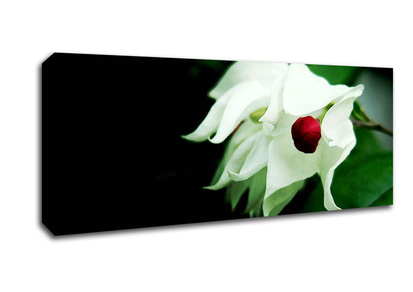 Picture of Red Ball Centre Panoramic Canvas Wall Art