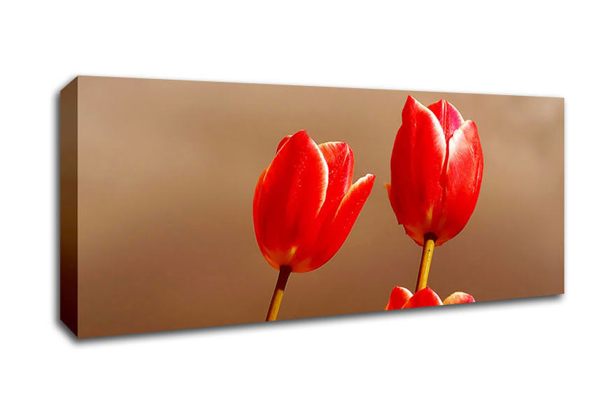 Picture of Red Tulip Trio Panoramic Canvas Wall Art