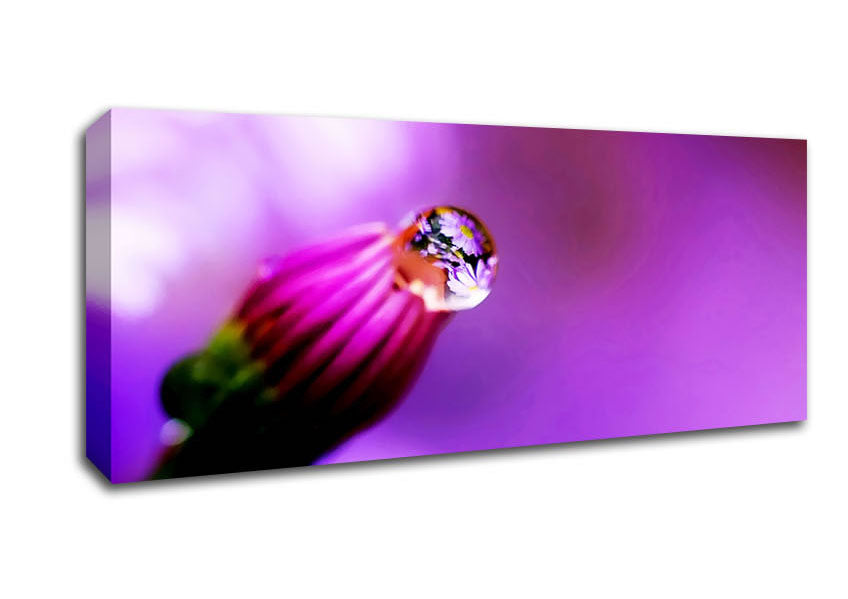 Picture of Purple Water Drop Reflection Panoramic Canvas Wall Art