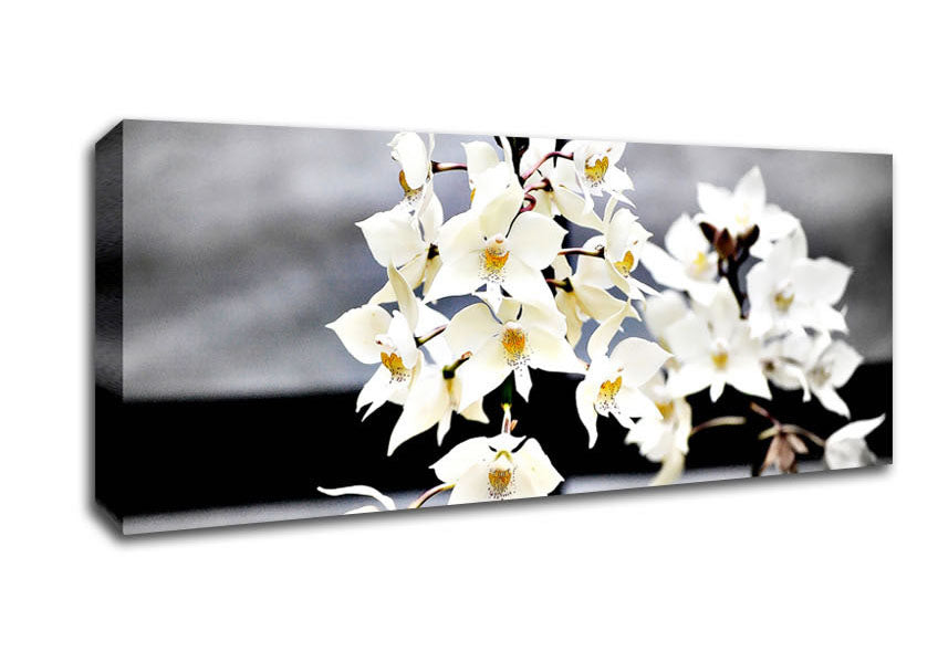 Picture of White Snowdrop Cross Panoramic Canvas Wall Art
