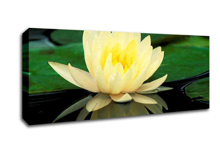 Picture of Yellow Water Lily Reflection Panoramic Canvas Wall Art