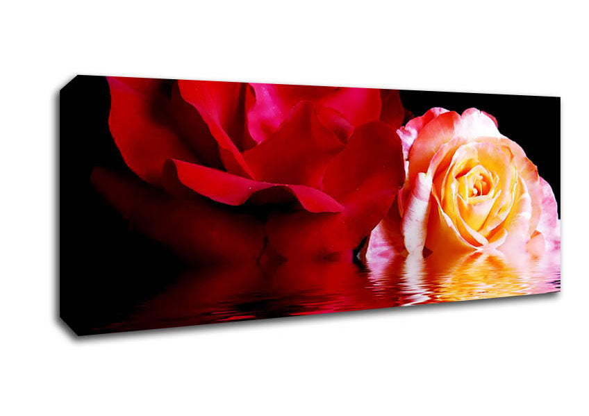 Picture of The Floating Roses Panoramic Canvas Wall Art