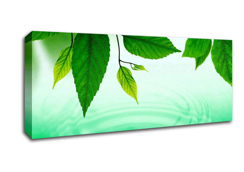 Picture of Mint Leaves Near The River Panoramic Canvas Wall Art