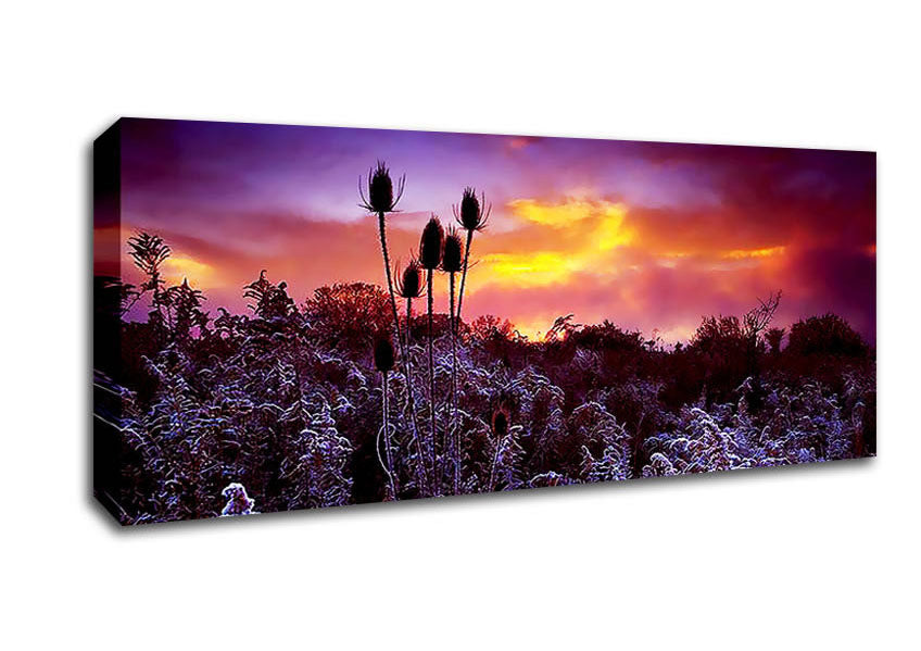 Picture of Winter Skies Panoramic Canvas Wall Art