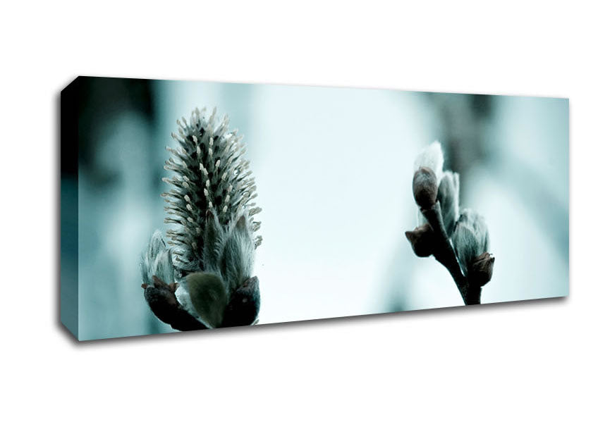 Picture of Winter Snow Flowers Panoramic Canvas Wall Art
