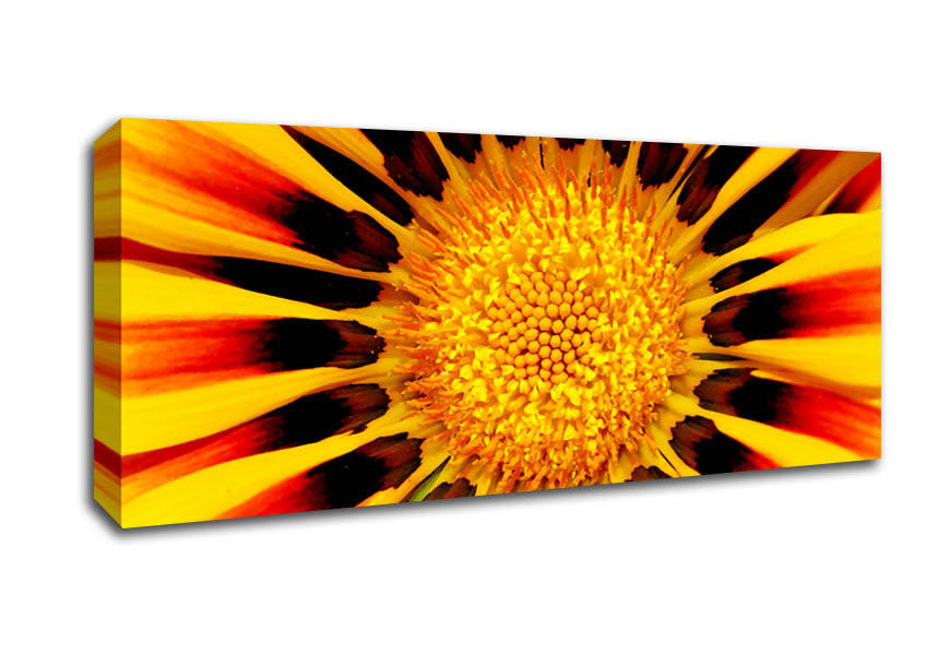 Picture of The Centre Of The Sun Panoramic Canvas Wall Art