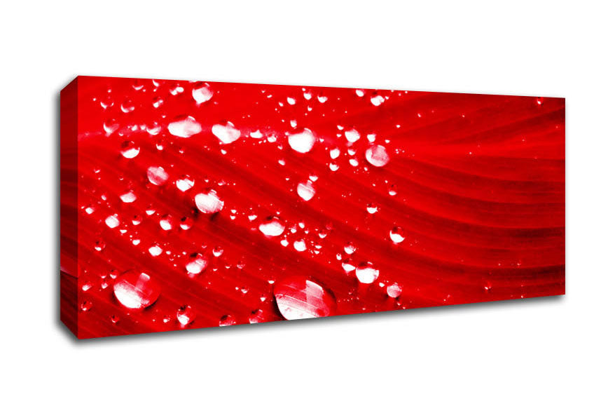 Picture of Red Water Droplets Panoramic Canvas Wall Art