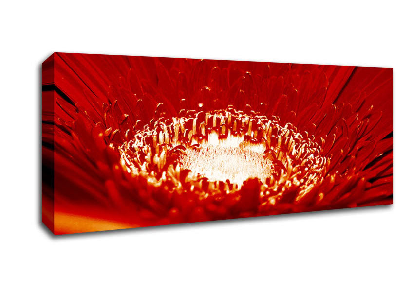 Picture of Red Centre Panoramic Canvas Wall Art