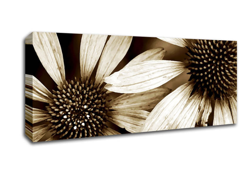 Picture of Sun Flower Duo Panoramic Canvas Wall Art