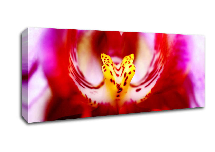 Picture of The Eye Of The Flower Panoramic Canvas Wall Art