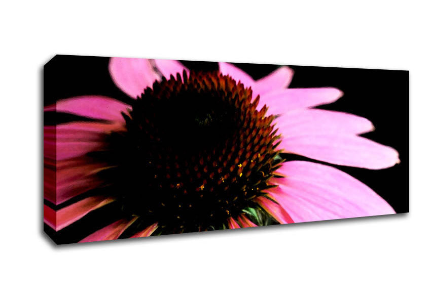 Picture of Pom Pom Daisy Centre Panoramic Canvas Wall Art