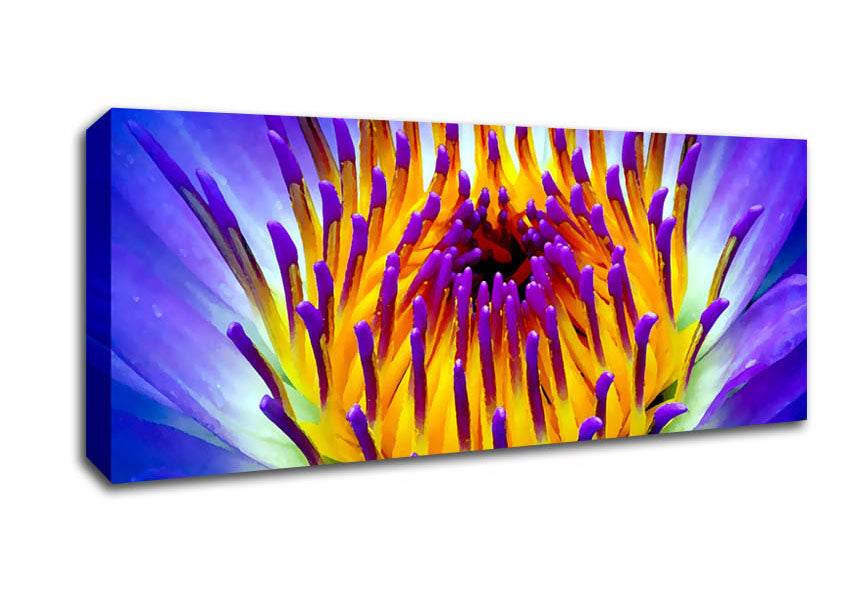 Picture of Vibrant Purple Water Lily Panoramic Canvas Wall Art