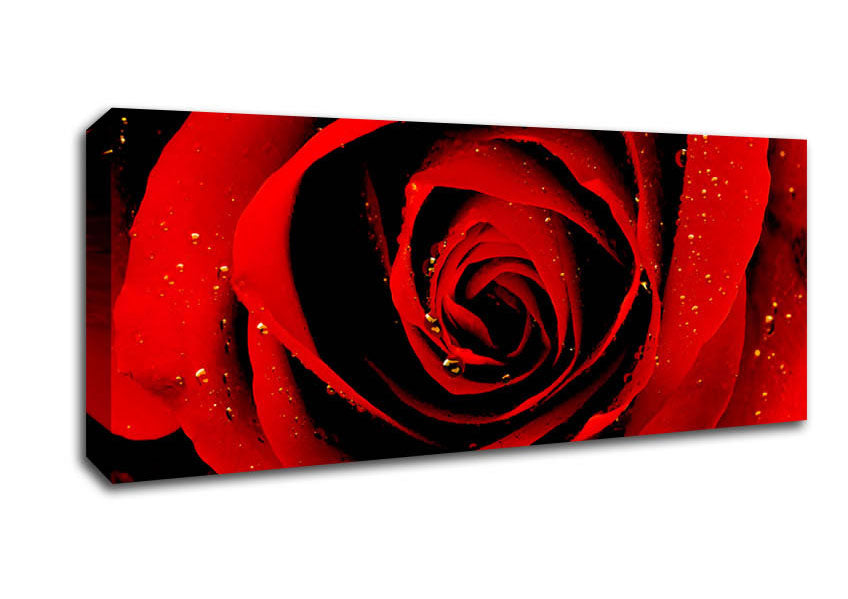 Picture of Close-Up Of A Red Rose Panoramic Canvas Wall Art