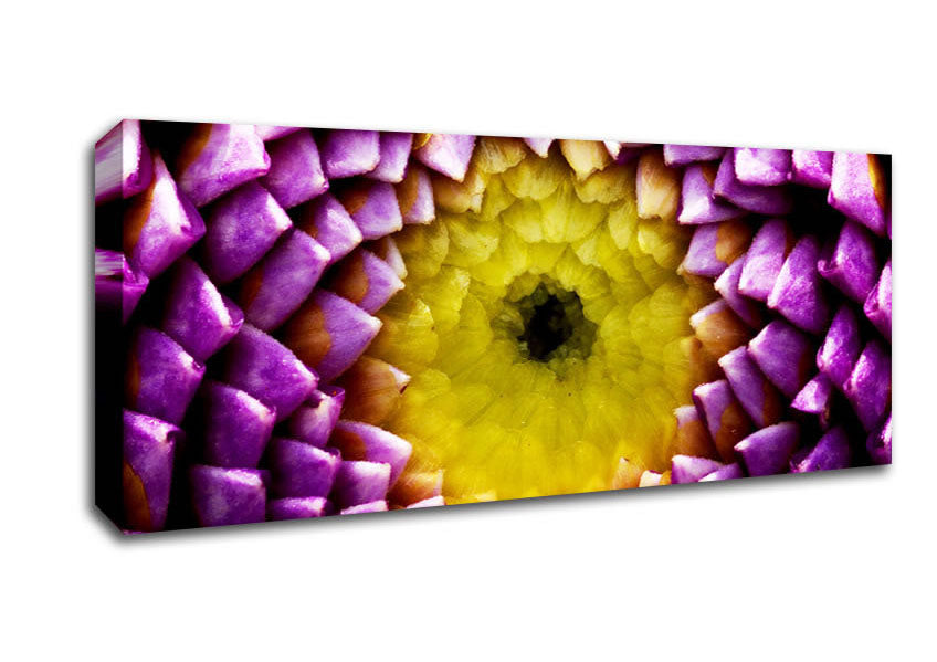 Picture of Purple Petal Delight Panoramic Canvas Wall Art