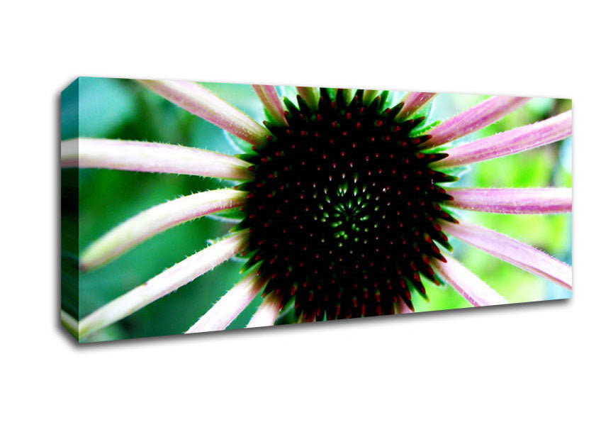 Picture of Magical Centre Panoramic Canvas Wall Art
