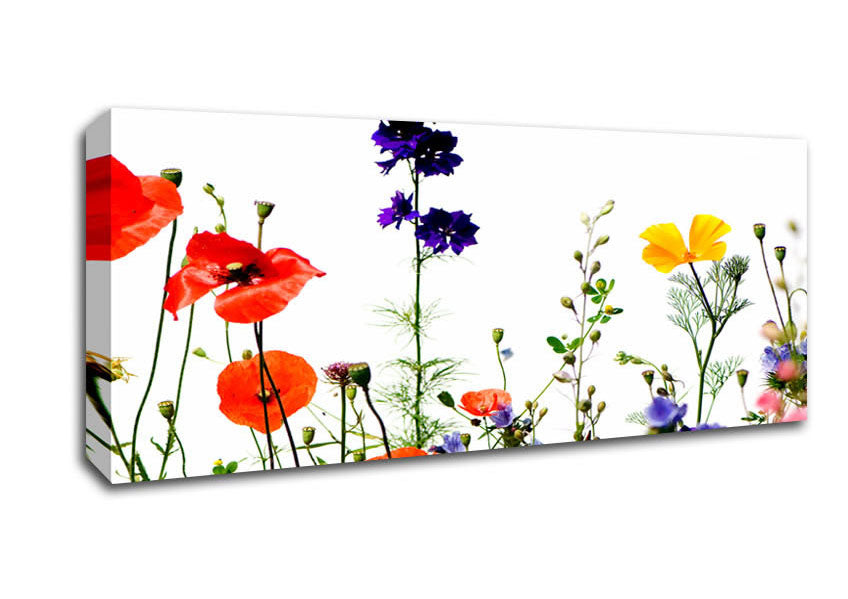 Picture of Wild Flower Garden In Bloom Panoramic Canvas Wall Art