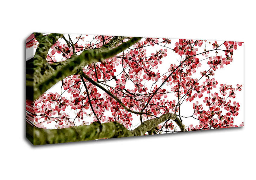 Picture of The Cherry Blossom Tree Panoramic Canvas Wall Art