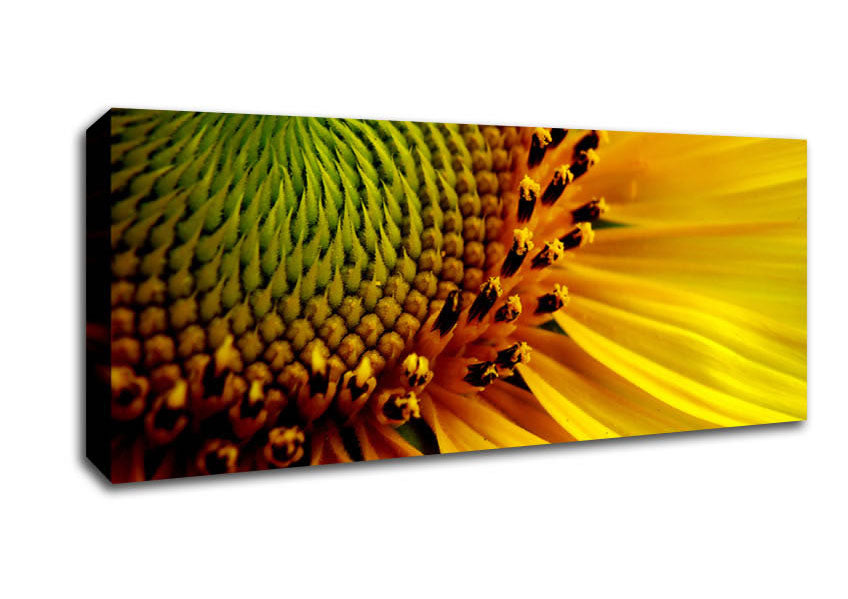 Picture of Yellow Sunflower Centre Panoramic Canvas Wall Art