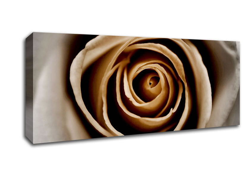 Picture of Stunning Sepia Rose Close-Up Panoramic Canvas Wall Art
