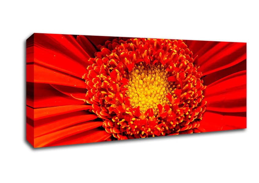 Picture of The Centre Of A Gerbera Panoramic Canvas Wall Art